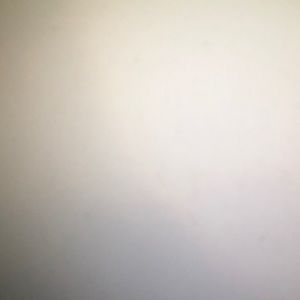 Meet your Posher, Donia